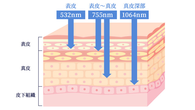 3つの波長で様々なお悩みに対応